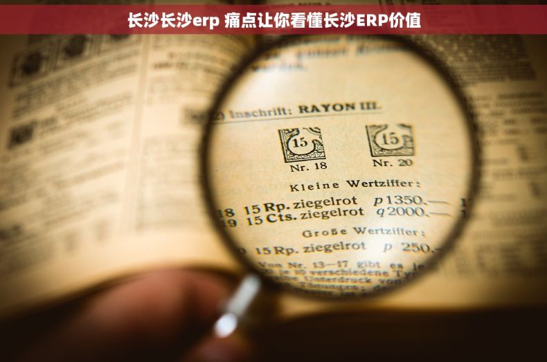 长沙长沙erp 痛点让你看懂长沙ERP价值 长沙长沙erp 痛点让你看懂长沙ERP价值
