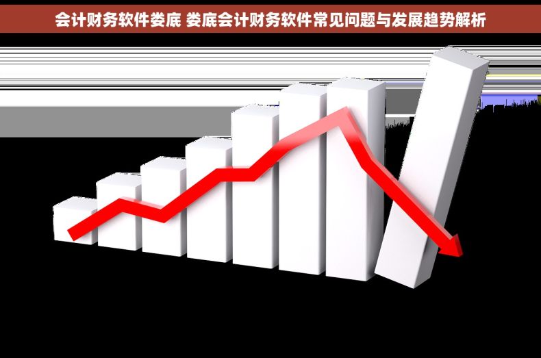 会计财务软件娄底 娄底会计财务软件常见问题与发展趋势解析 会计财务软件娄底 娄底会计财务软件常见问题与发展趋势解析