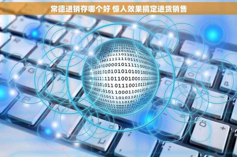 常德进销存哪个好 惊人效果搞定进货销售