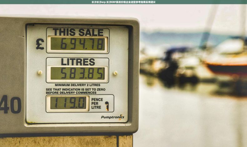 长沙长沙erp 长沙ERP系统价格企业选型参考指南实用建议