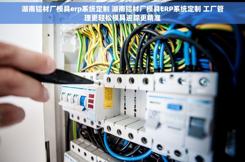 湖南铝材厂模具erp系统定制 湖南铝材厂模具ERP系统定制 工厂管理更轻松模具追踪更精准