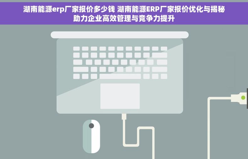 湖南能源erp厂家报价多少钱 湖南能源ERP厂家报价优化与揭秘助力企业高效管理与竞争力提升