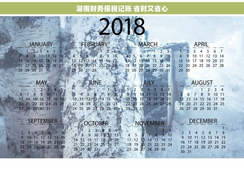 湖南财务报税记账 省时又省心