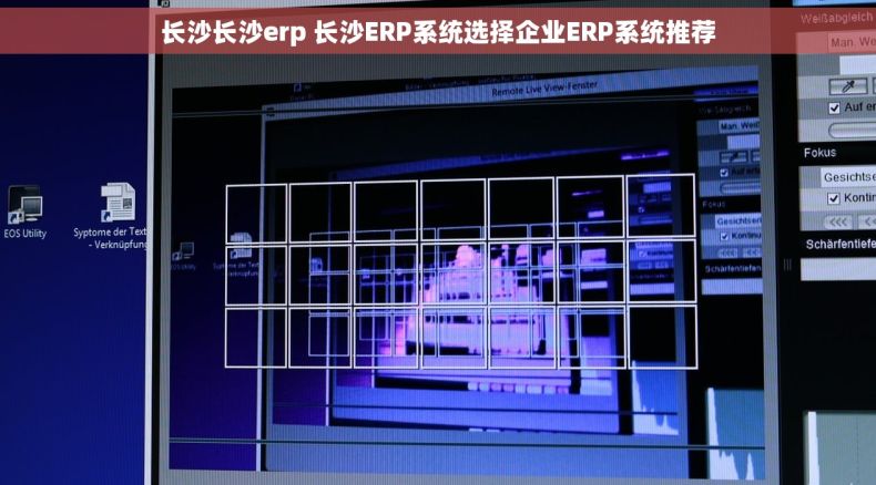 长沙长沙erp 长沙ERP系统选择企业ERP系统推荐
