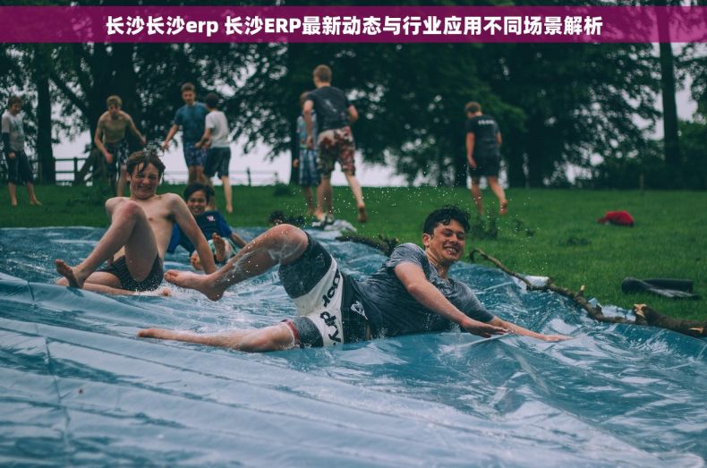 长沙长沙erp 长沙ERP最新动态与行业应用不同场景解析 长沙长沙erp 长沙ERP最新动态与行业应用不同场景解析