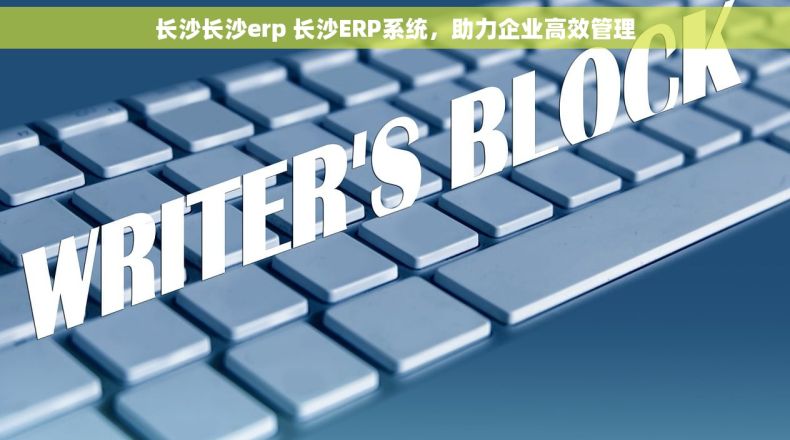 长沙长沙erp 长沙ERP系统,助力企业高效管理 长沙长沙erp 长沙ERP系统,助力企业高效管理