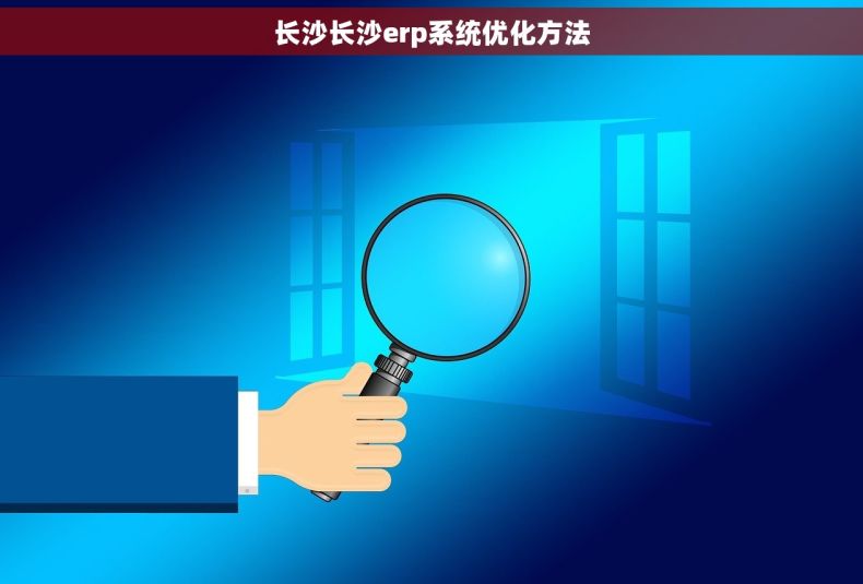 长沙长沙erp系统优化方法 长沙长沙erp系统优化方法