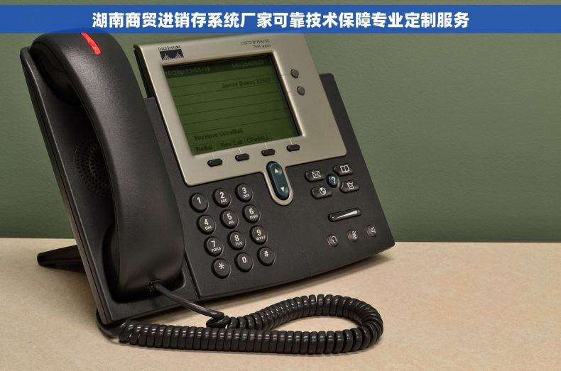 湖南商贸进销存系统厂家可靠技术保障专业定制服务 湖南商贸进销存系统厂家可靠技术保障专业定制服务