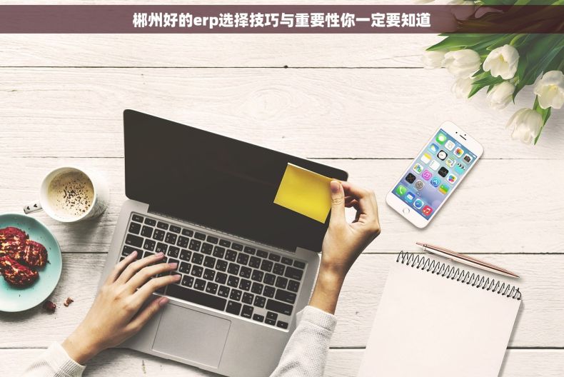 郴州好的erp选择技巧与重要性你一定要知道 郴州好的erp选择技巧与重要性你一定要知道
