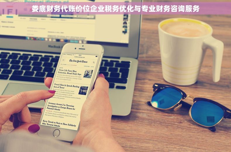 娄底财务代账价位企业税务优化与专业财务咨询服务