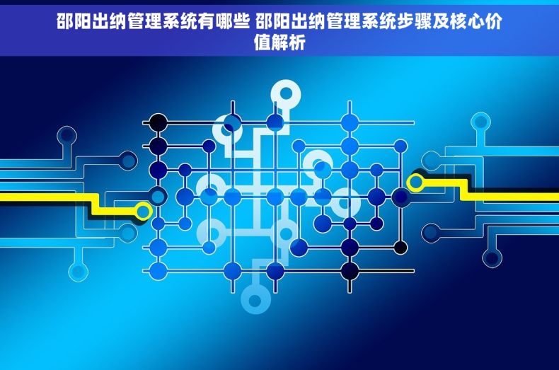 邵阳出纳管理系统有哪些 邵阳出纳管理系统步骤及核心价值解析