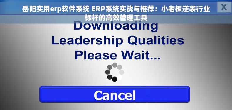 岳阳实用erp软件系统 ERP系统实战与推荐:小老板逆袭行业标杆的高效管理工具 岳阳实用erp软件系统 ERP系统实战与推荐:小老板逆袭行业标杆的高效管理工具