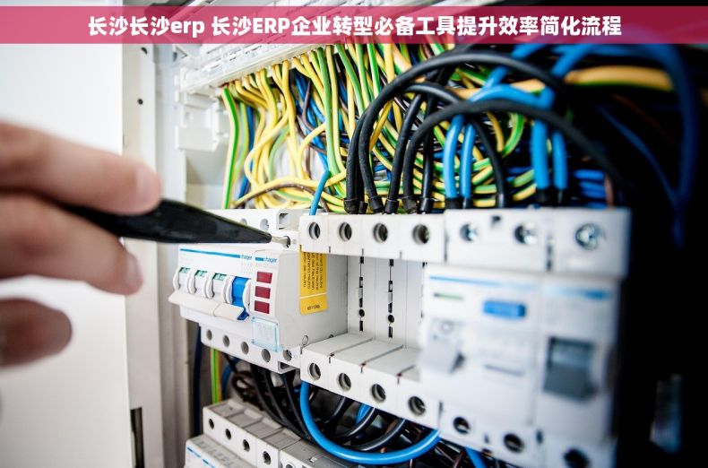 长沙长沙erp 长沙ERP企业转型必备工具提升效率简化流程 长沙长沙erp 长沙ERP企业转型必备工具提升效率简化流程
