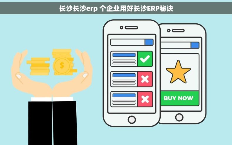 长沙长沙erp 个企业用好长沙ERP秘诀