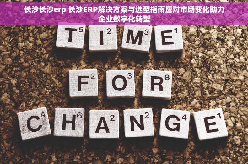 长沙长沙erp 长沙ERP解决方案与选型指南应对市场变化助力企业数字化转型