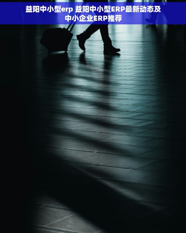 益阳中小型erp 益阳中小型ERP最新动态及中小企业ERP推荐