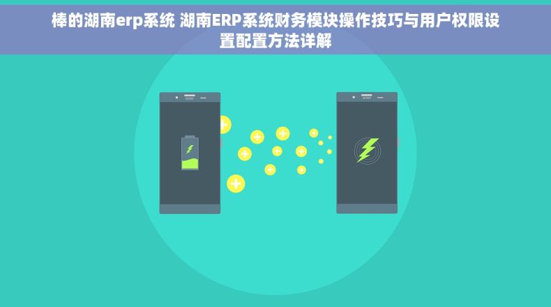 棒的湖南erp系统 湖南ERP系统财务模块操作技巧与用户权限设置配置方法详解
