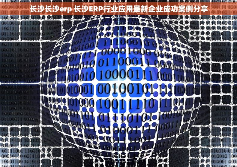 长沙长沙erp 长沙ERP行业应用最新企业成功案例分享 长沙长沙erp 长沙ERP行业应用最新企业成功案例分享