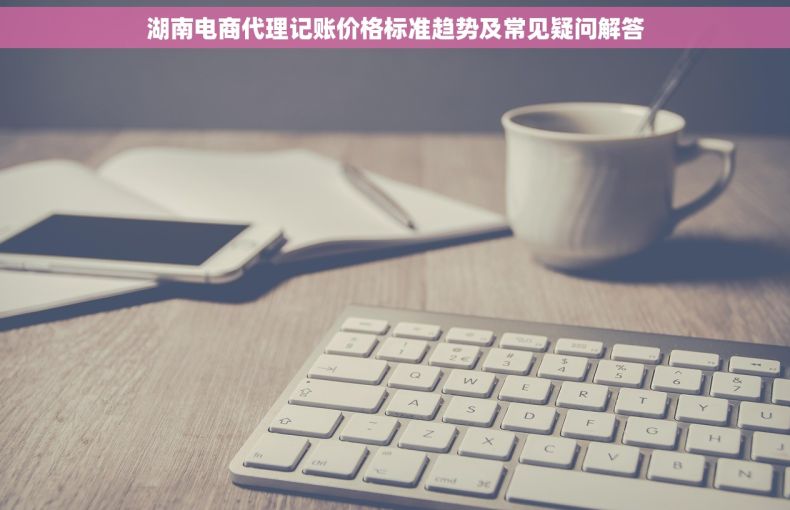 湖南电商代理记账价格标准趋势及常见疑问解答