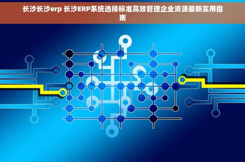 长沙长沙erp 长沙ERP系统选择标准高效管理企业资源最新实用指南 长沙长沙erp 长沙ERP系统选择标准高效管理企业资源最新实用指南
