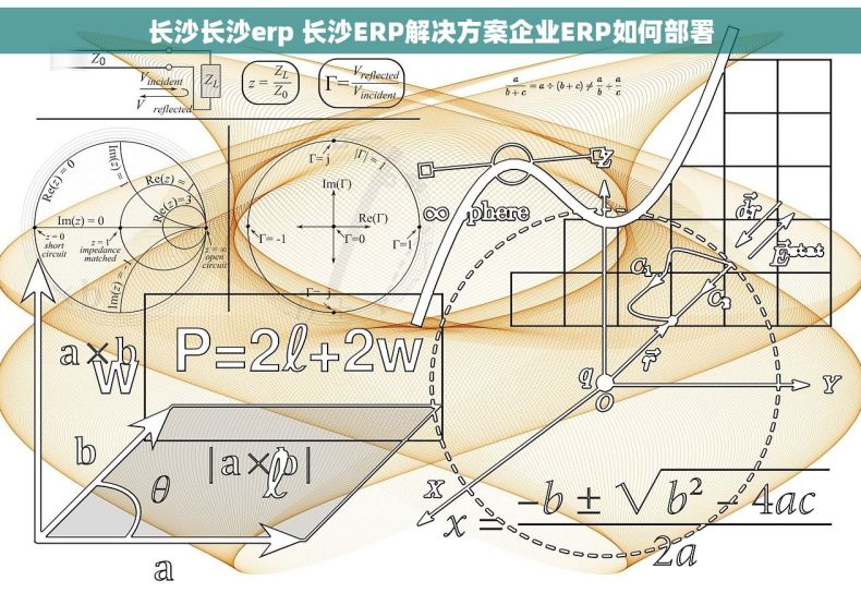 长沙长沙erp 长沙ERP解决方案企业ERP如何部署 长沙长沙erp 长沙ERP解决方案企业ERP如何部署
