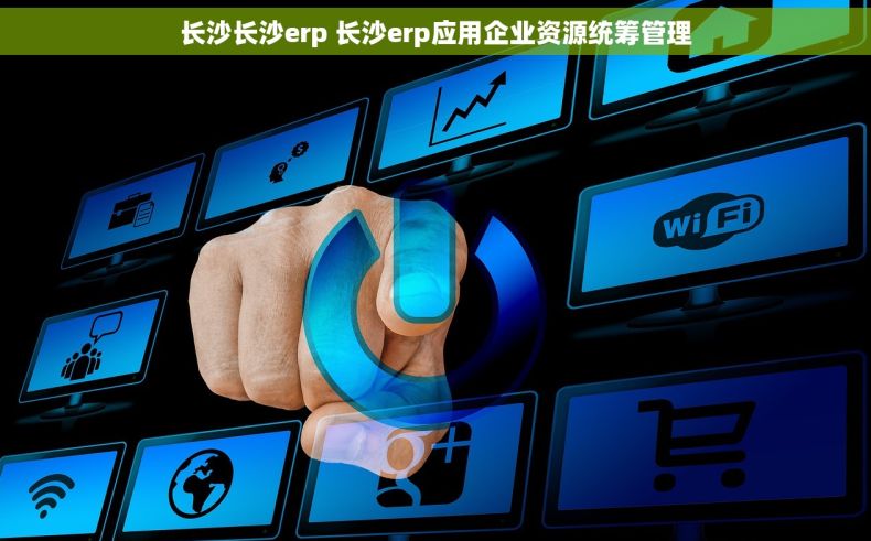 长沙长沙erp 长沙erp应用企业资源统筹管理