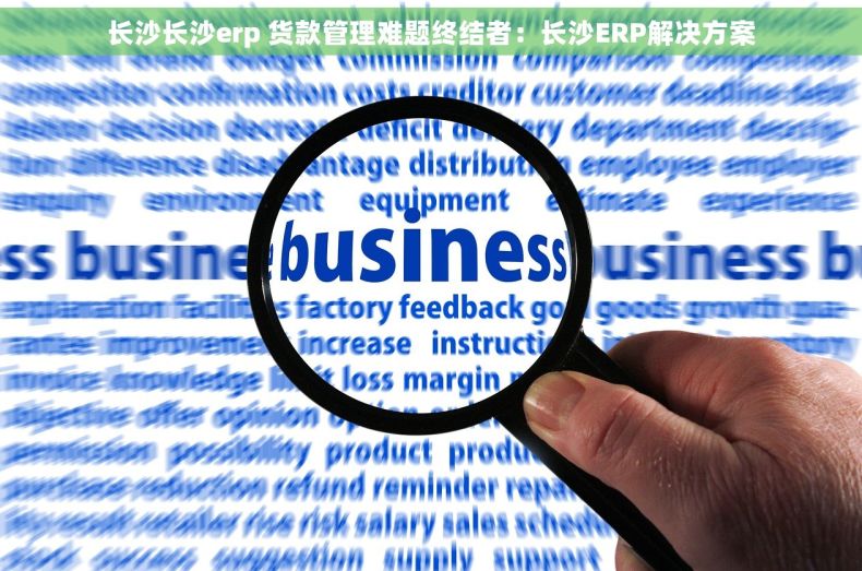 长沙长沙erp 货款管理难题终结者：长沙ERP解决方案