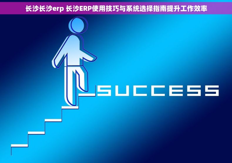 长沙长沙erp 长沙ERP使用技巧与系统选择指南提升工作效率