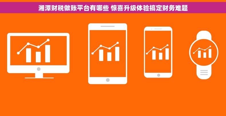 湘潭财税做账平台有哪些 惊喜升级体验搞定财务难题 湘潭财税做账平台有哪些 惊喜升级体验搞定财务难题