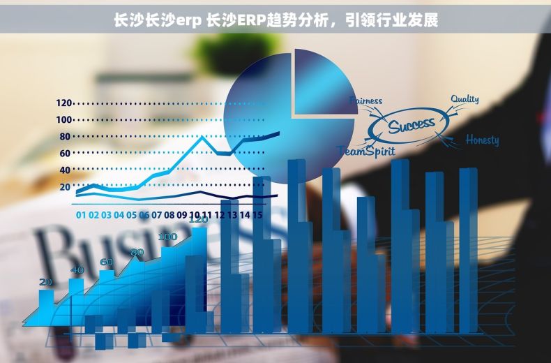 长沙长沙erp 长沙ERP趋势分析，引领行业发展