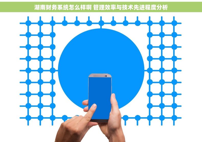 湖南财务系统怎么样啊 管理效率与技术先进程度分析 湖南财务系统怎么样啊 管理效率与技术先进程度分析