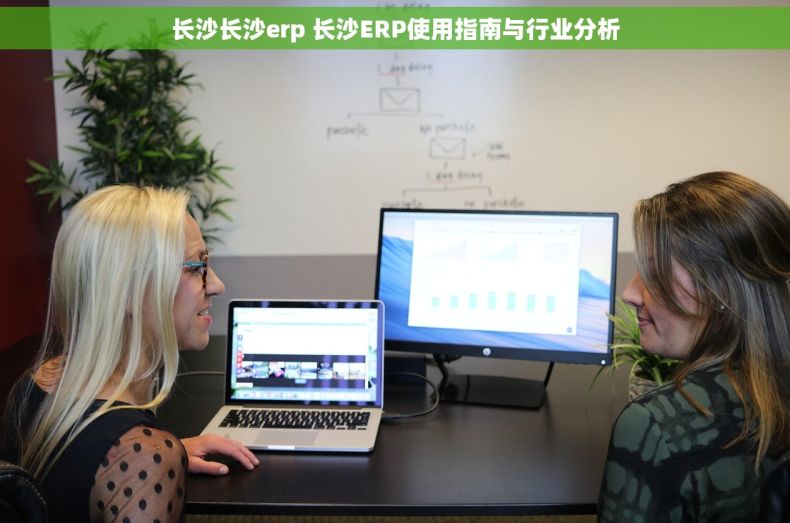 长沙长沙erp 长沙ERP使用指南与行业分析 长沙长沙erp 长沙ERP使用指南与行业分析