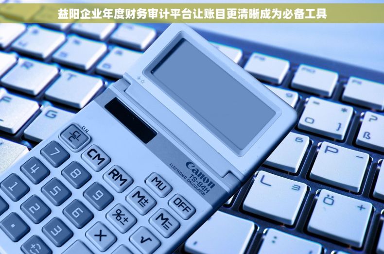 益阳企业年度财务审计平台让账目更清晰成为必备工具 益阳企业年度财务审计平台让账目更清晰成为必备工具