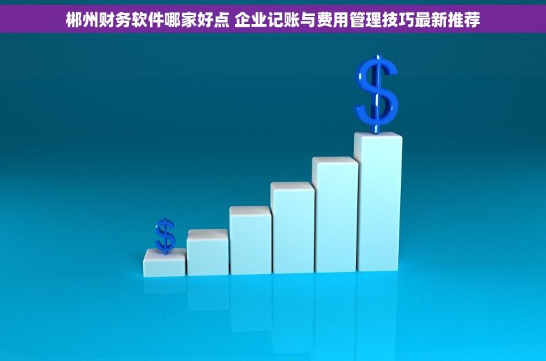 郴州财务软件哪家好点 企业记账与费用管理技巧最新推荐 郴州财务软件哪家好点 企业记账与费用管理技巧最新推荐
