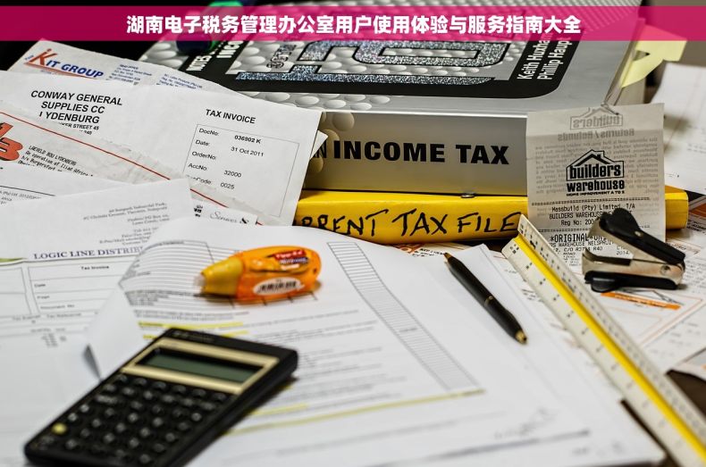 湖南电子税务管理办公室用户使用体验与服务指南大全 湖南电子税务管理办公室用户使用体验与服务指南大全