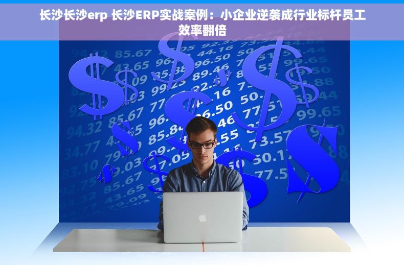 长沙长沙erp 长沙ERP实战案例:小企业逆袭成行业标杆员工效率翻倍 长沙长沙erp 长沙ERP实战案例:小企业逆袭成行业标杆员工效率翻倍