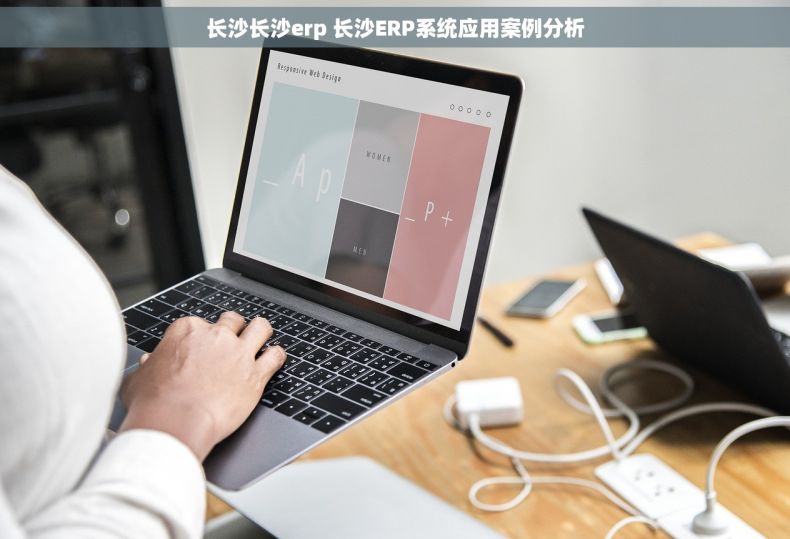 长沙长沙erp 长沙ERP系统应用案例分析 长沙长沙erp 长沙ERP系统应用案例分析