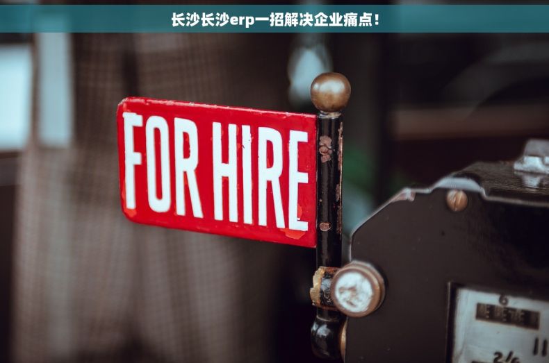 长沙长沙erp一招解决企业痛点! 长沙长沙erp一招解决企业痛点!