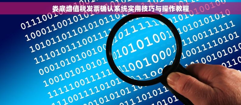 娄底增值税发票确认系统实用技巧与操作教程 娄底增值税发票确认系统实用技巧与操作教程
