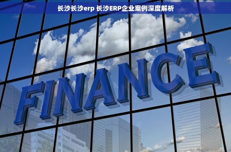 长沙长沙erp 长沙ERP企业案例深度解析 长沙长沙erp 长沙ERP企业案例深度解析