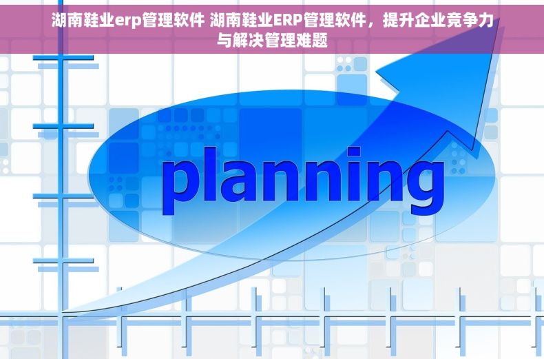 湖南鞋业erp管理软件 湖南鞋业ERP管理软件,提升企业竞争力与解决管理难题 湖南鞋业erp管理软件 湖南鞋业ERP管理软件,提升企业竞争力与解决管理难题