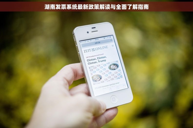 湖南发票系统最新政策解读与全面了解指南 湖南发票系统最新政策解读与全面了解指南