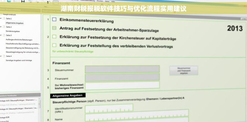 湖南财税报税软件技巧与优化流程实用建议 湖南财税报税软件技巧与优化流程实用建议