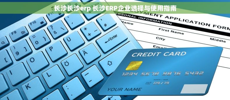 长沙长沙erp 长沙ERP企业选择与使用指南 长沙长沙erp 长沙ERP企业选择与使用指南
