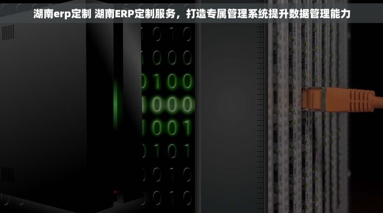 湖南erp定制 湖南ERP定制服务,打造专属管理系统提升数据管理能力 湖南erp定制 湖南ERP定制服务,打造专属管理系统提升数据管理能力