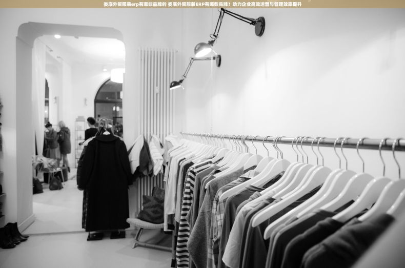 娄底外贸服装erp有哪些品牌的 娄底外贸服装ERP有哪些品牌?助力企业高效运营与管理效率提升 娄底外贸服装erp有哪些品牌的 娄底外贸服装ERP有哪些品牌?助力企业高效运营与管理效率提升