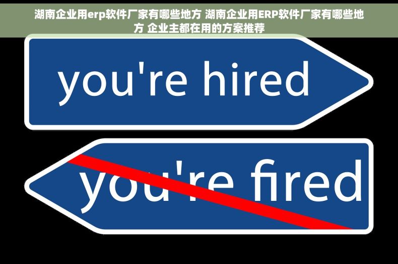 湖南企业用erp软件厂家有哪些地方 湖南企业用ERP软件厂家有哪些地方 企业主都在用的方案推荐 湖南企业用erp软件厂家有哪些地方 湖南企业用ERP软件厂家有哪些地方 企业主都在用的方案推荐