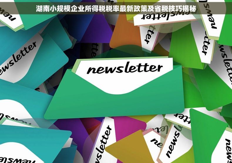 湖南小规模企业所得税税率最新政策及省税技巧揭秘 湖南小规模企业所得税税率最新政策及省税技巧揭秘