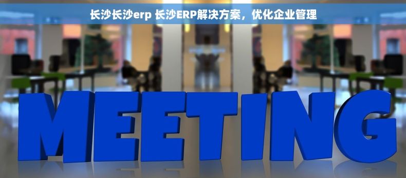 长沙长沙erp 长沙ERP解决方案,优化企业管理 长沙长沙erp 长沙ERP解决方案,优化企业管理