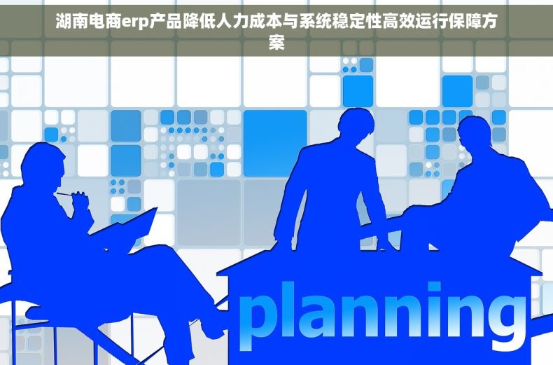 湖南电商erp产品降低人力成本与系统稳定性高效运行保障方案